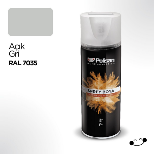 POL. SPREY BOYA  AÇIK GRİ 7035 ADR resmi