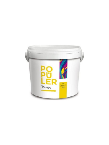 POPÜLER 10 KG TAVAN MAT resmi